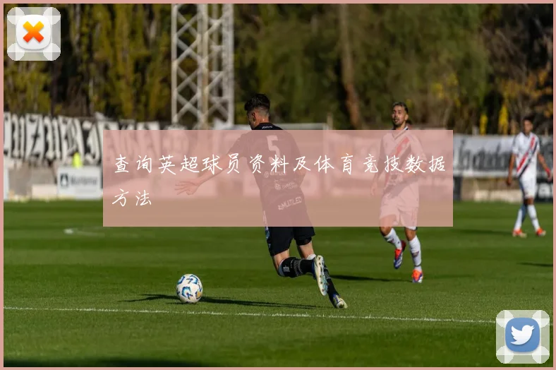 查询英超球员资料及体育竞技数据方法