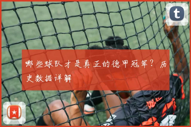 哪些球队才是真正的德甲冠军？历史数据详解